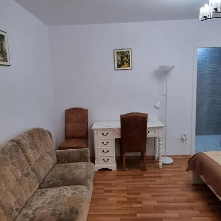 Studio Roco Apartment Cluj-Napoca Luaran gambar