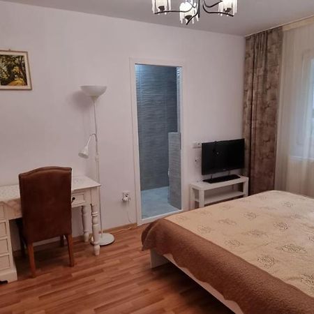 Studio Roco Apartment Cluj-Napoca Luaran gambar