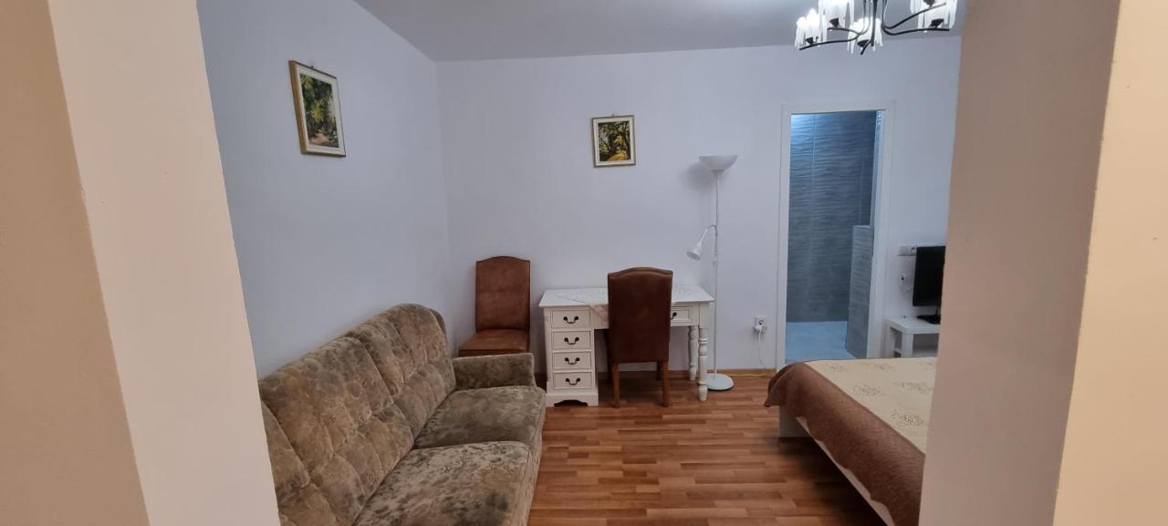 Studio Roco Apartment Cluj-Napoca Luaran gambar