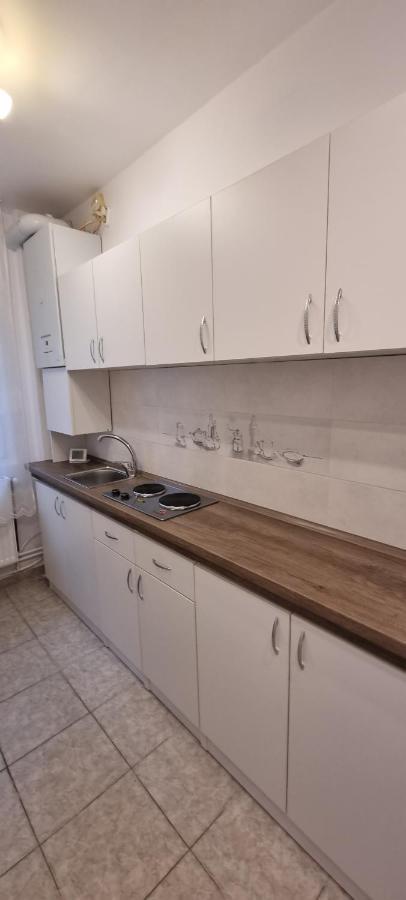 Studio Roco Apartment Cluj-Napoca Luaran gambar