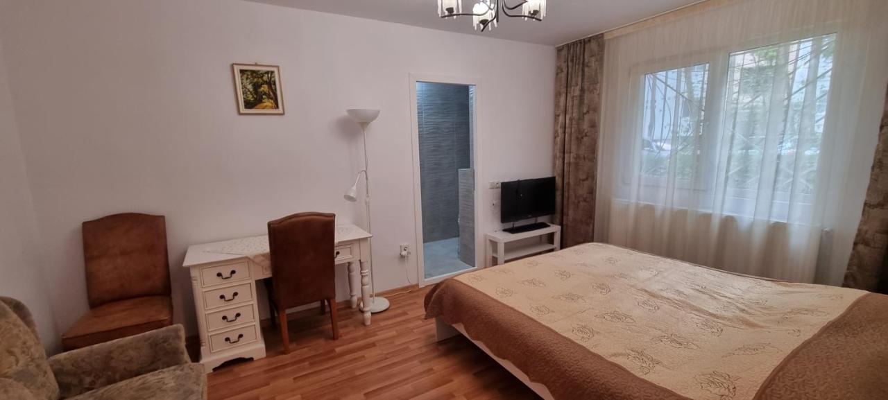 Studio Roco Apartment Cluj-Napoca Luaran gambar