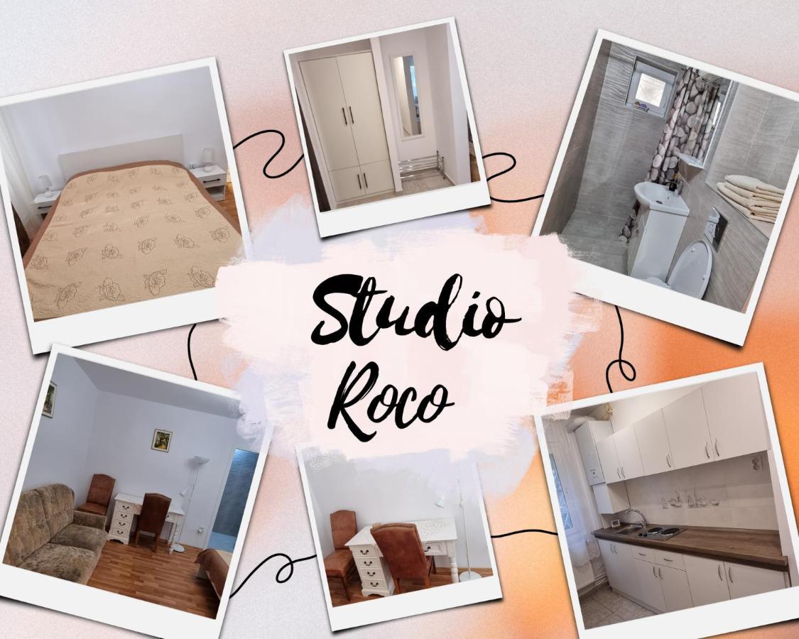 Studio Roco Apartment Cluj-Napoca Luaran gambar